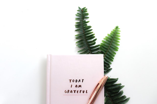 picture showing close up of gratitude journal in light pink with golden pen and green leaves as decoration in the background morning routine checklist practice gratitude