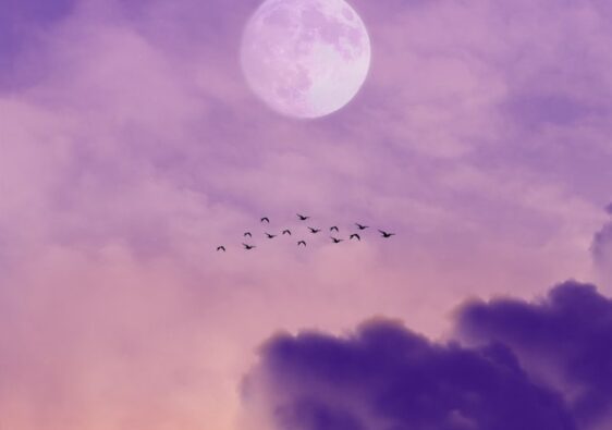 image showing a full moon surrounded by clouds and birds flying by image features beautiful pastel colours blog post is about celebrating a full moon ritual