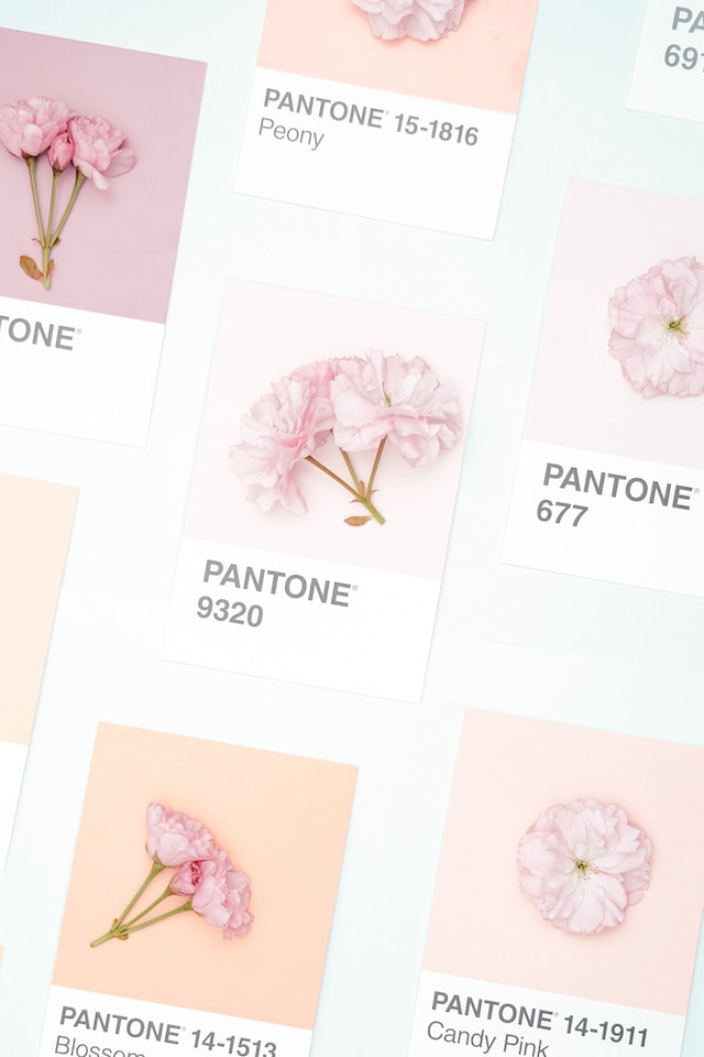 image showing creamy colours in rose represented by pantone references and flowers home yoga space