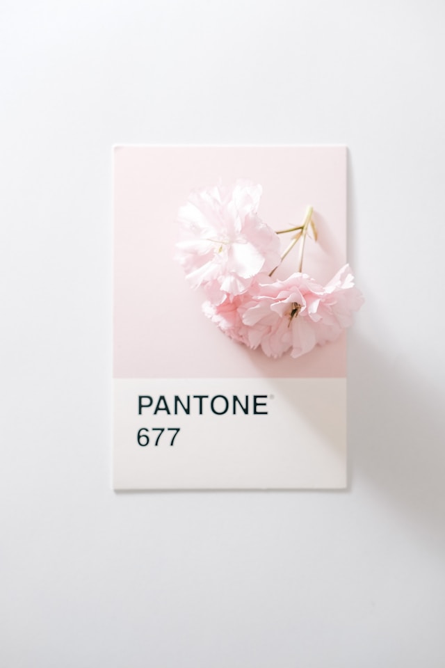 the picture shows a close up of a pantone colour reference in light pink and the blog post is about creating a blissful home yoga studio