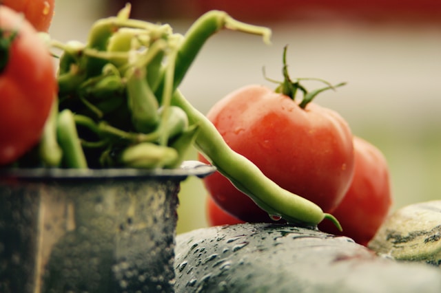 the picture shows a close up of a fresh tomato and green beans and the blog post is about spring self-care ideas 