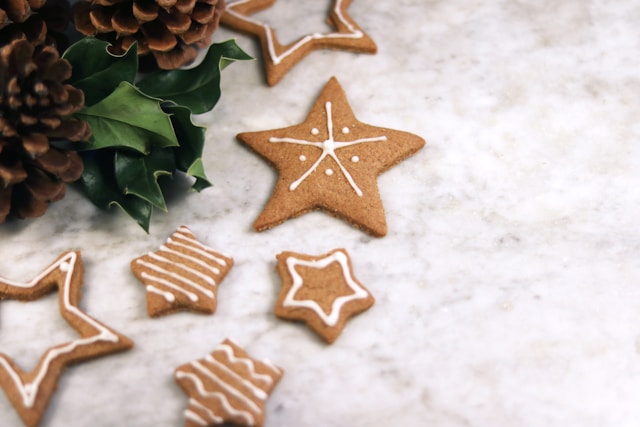 image shows a close up of beautifully decorated homemade Christmas cookies and the blog post is about navigating the festive season