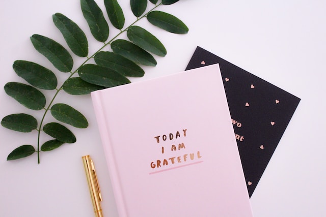 picture showing pink gratitude journal on pink table with golden pen next to it and green leaves on top daily gratitude journal prompts