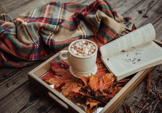 picture featuring a close up of a wooden tray with autumn leaves a cup of hot chocolate and an open book next to the tray is a blanket autumn essentials self care products for busy women