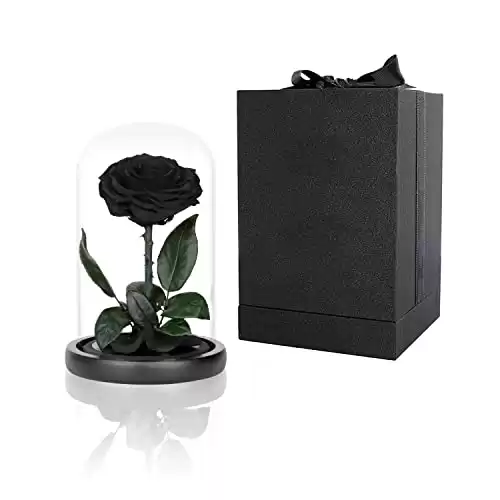 Preserved Black Rose in Glass Dome