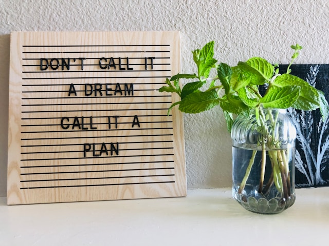image shows a picture with green flowers in a vase next to it, the picture says don't call it a dream, call it a plan and the blog post is about personal development journal prompts for your mid year check in